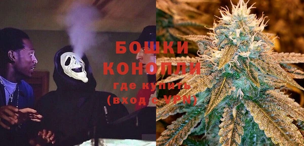 дурь Белоозёрский