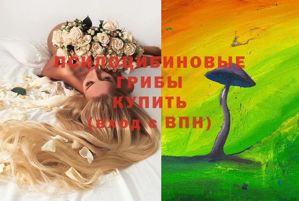бутират Белокуриха