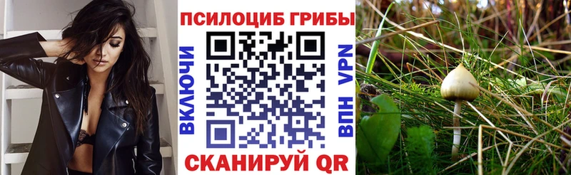 цены наркотик Северск Галлюциногенные грибы Magic Shrooms